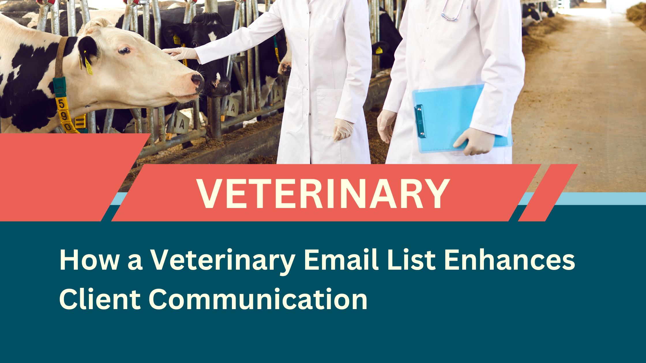 Veterinary email list